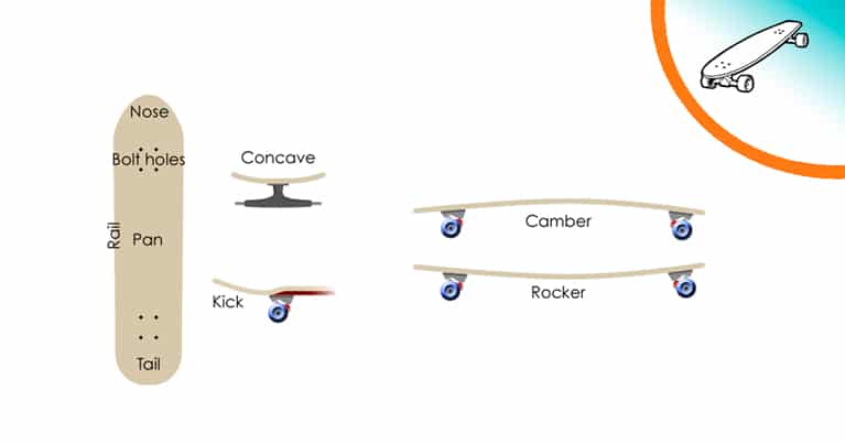 Le caratterisitche e le parti di una tavola da skate, imparare a consocere le tavole aiuta a scegliere il longboard migliore
