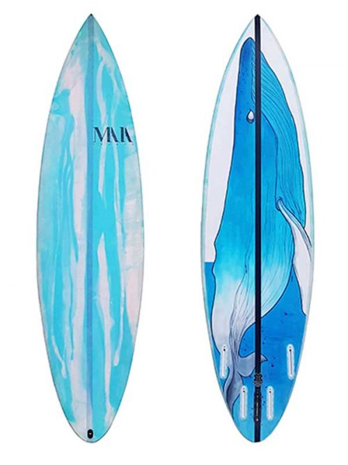 ARES il modello surf ibirdo ideale per surfisti intermedi