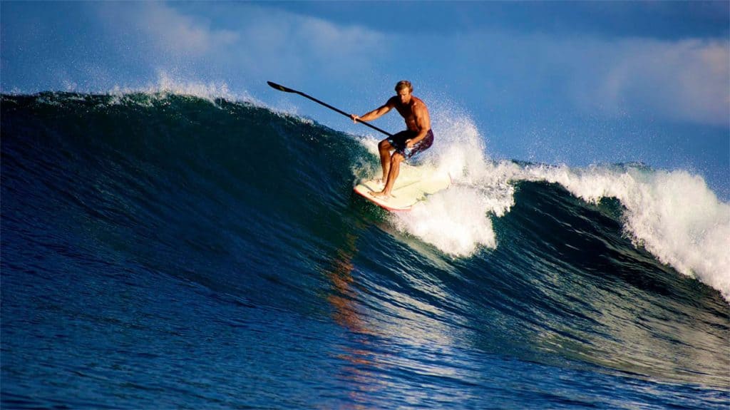 Lard Hamilton sup surfing